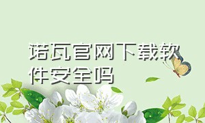 诺瓦官网下载软件安全吗