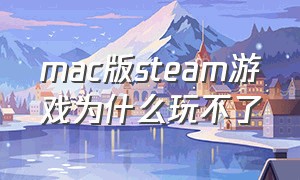 mac版steam游戏为什么玩不了