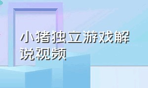 小猪独立游戏解说视频