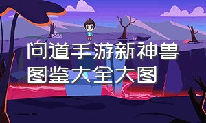 问道手游新神兽图鉴大全大图