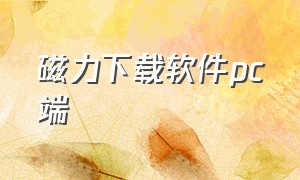 磁力下载软件pc端