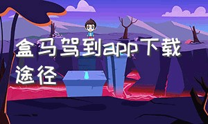 盒马驾到app下载途径