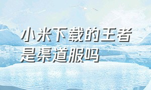 小米下载的王者是渠道服吗