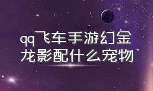 qq飞车手游幻金龙影配什么宠物