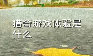 猎奇游戏体验是什么