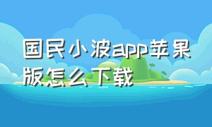 国民小波app苹果版怎么下载