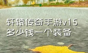 轩辕传奇手游v15多少钱一个装备