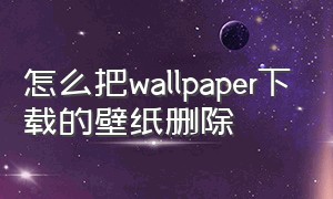 怎么把wallpaper下载的壁纸删除