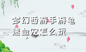 梦幻西游手游龟速血宠怎么玩