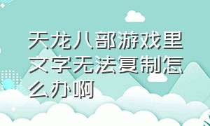 天龙八部游戏里文字无法复制怎么办啊