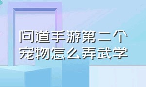 问道手游第二个宠物怎么弄武学