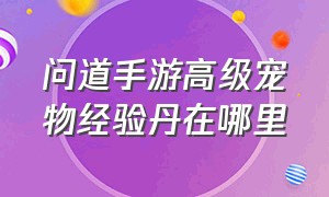 问道手游高级宠物经验丹在哪里