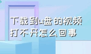 下载到u盘的视频打不开怎么回事