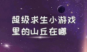 超级求生小游戏里的山丘在哪