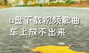 u盘下载视频歌曲车上放不出来