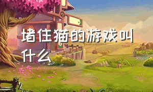 堵住猫的游戏叫什么