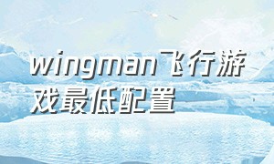 wingman飞行游戏最低配置