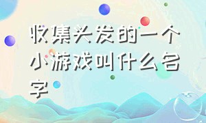 收集头发的一个小游戏叫什么名字