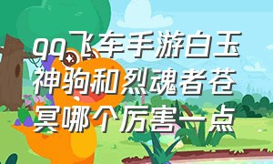 qq飞车手游白玉神驹和烈魂者苍冥哪个厉害一点