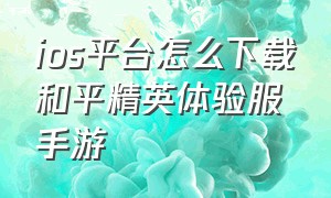 ios平台怎么下载和平精英体验服手游