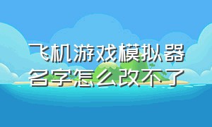 飞机游戏模拟器名字怎么改不了