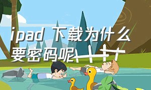 ipad 下载为什么要密码呢