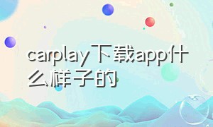 carplay下载app什么样子的