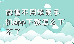 微信不用苹果手机app下载怎么下不了