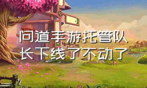 问道手游托管队长下线了不动了