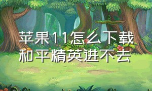 苹果11怎么下载和平精英进不去