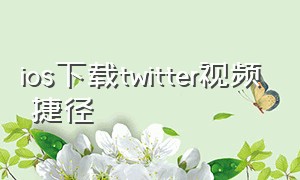 ios下载twitter视频 捷径