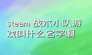 steam 战术小队游戏叫什么名字啊