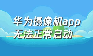 华为摄像机app无法正常启动