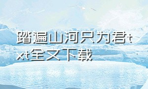 踏遍山河只为君txt全文下载