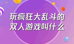 玩疯狂大乱斗的双人游戏叫什么