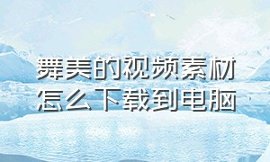 舞美的视频素材怎么下载到电脑