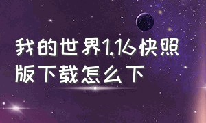 我的世界1.16快照版下载怎么下