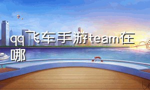 qq飞车手游team在哪