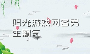 阳光游戏网名男生霸气