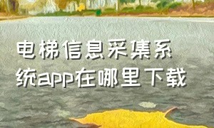 电梯信息采集系统app在哪里下载