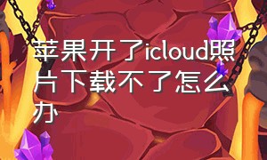 苹果开了icloud照片下载不了怎么办