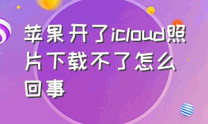 苹果开了icloud照片下载不了怎么回事