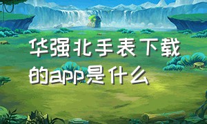 华强北手表下载的app是什么