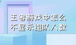 王者游戏中怎么不显示组队人数