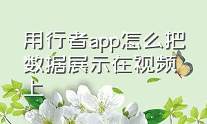 用行者app怎么把数据展示在视频上