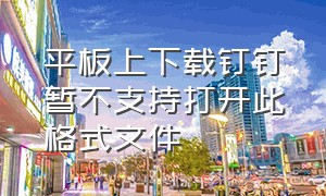 平板上下载钉钉暂不支持打开此格式文件