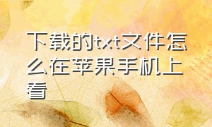 下载的txt文件怎么在苹果手机上看