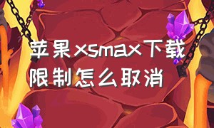 苹果xsmax下载限制怎么取消