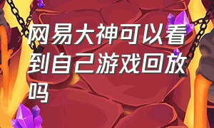 网易大神可以看到自己游戏回放吗