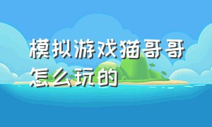 模拟游戏猫哥哥怎么玩的